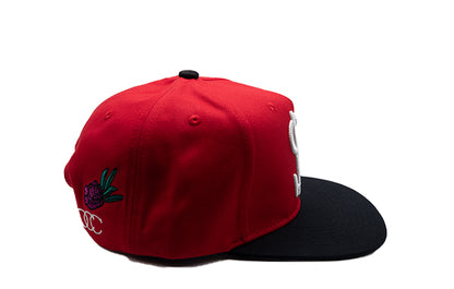 $H Glyph Operation Chiin Chilla Flat Brim (Peony)